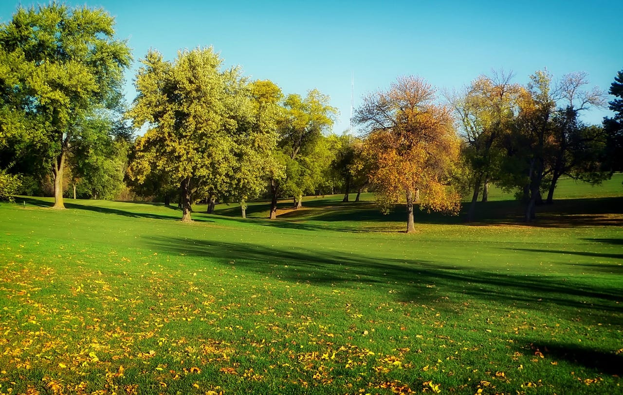 Image of a green landscape and with trees where we provide answering service in Omaha