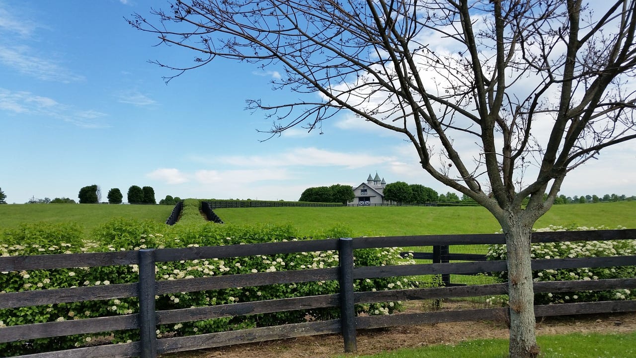 Image of a horse farm in Kentucky where we provide answering services in Lexington